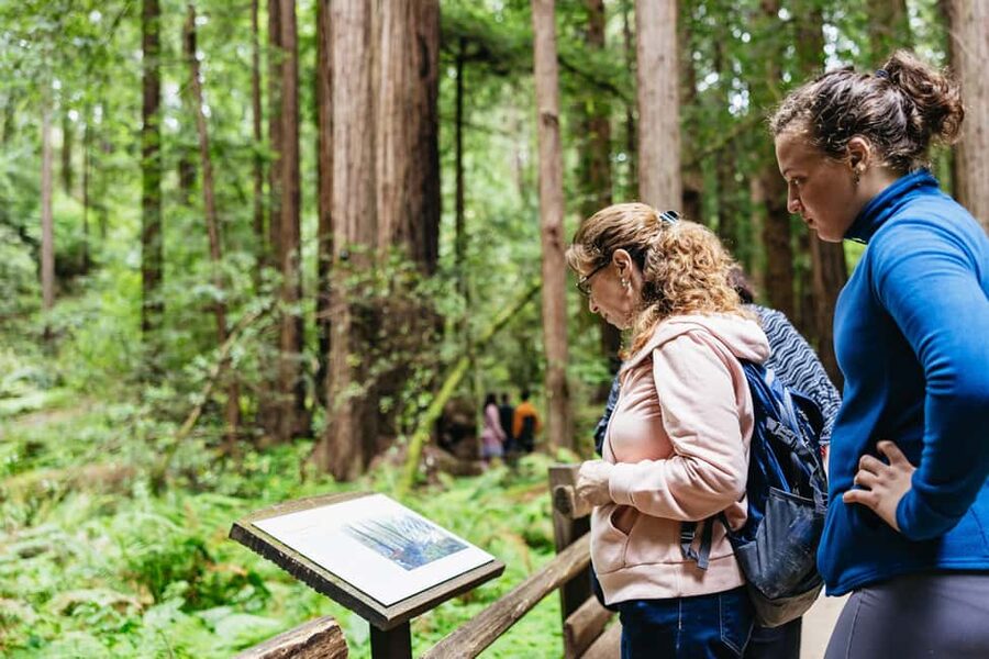San Francisco: Muir Woods & Sausalito Tour with Ferry Option - The 90-minute walk beneath the redwoods