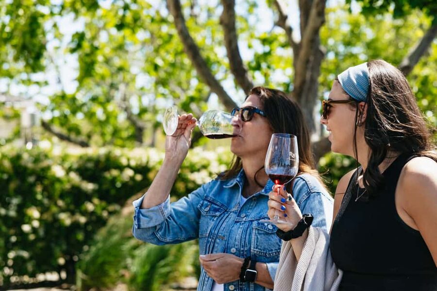 San Francisco: Napa and Sonoma Valley Wine Tour - Key points to know before booking