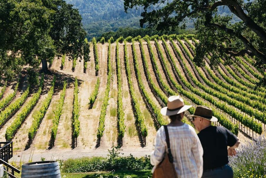 San Francisco: Napa and Sonoma Valley Wine Tour - What the $165 price really covers