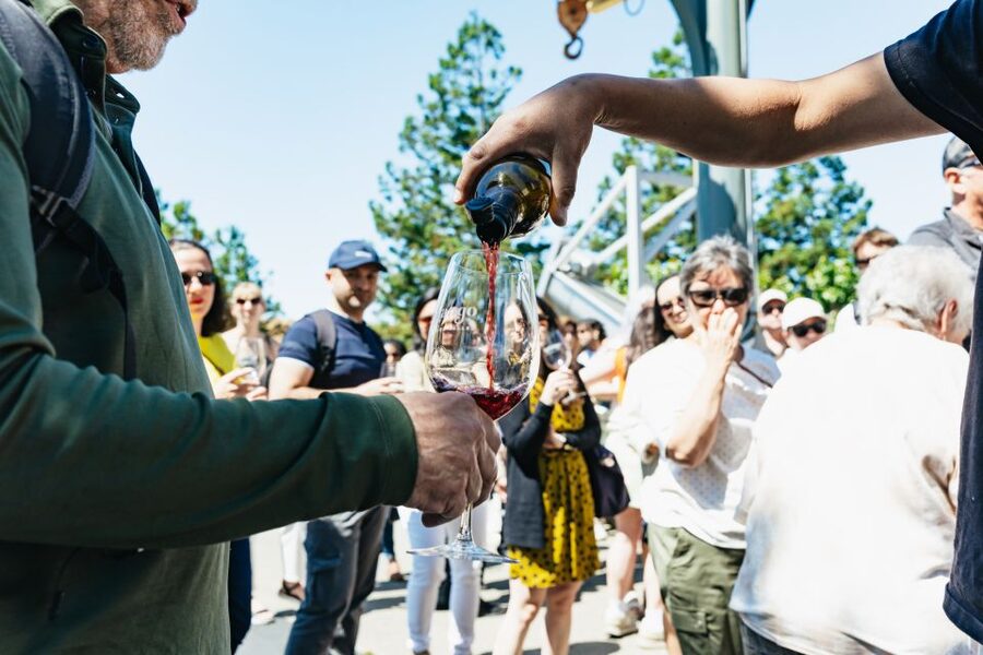 San Francisco: Napa and Sonoma Valley Wine Tour - Three wineries, three different ways to taste