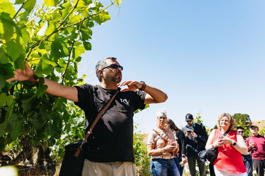 San Francisco: Napa and Sonoma Valley Wine Tour - The final tasting is enjoyable, but pace yourself