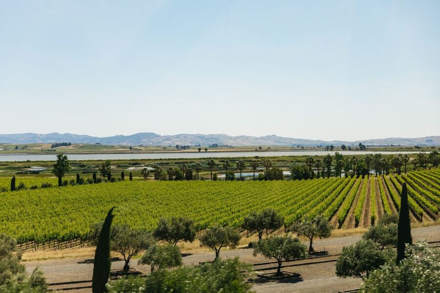 San Francisco: Napa and Sonoma Valley Wine Tour - Who should book this Napa and Sonoma day trip?