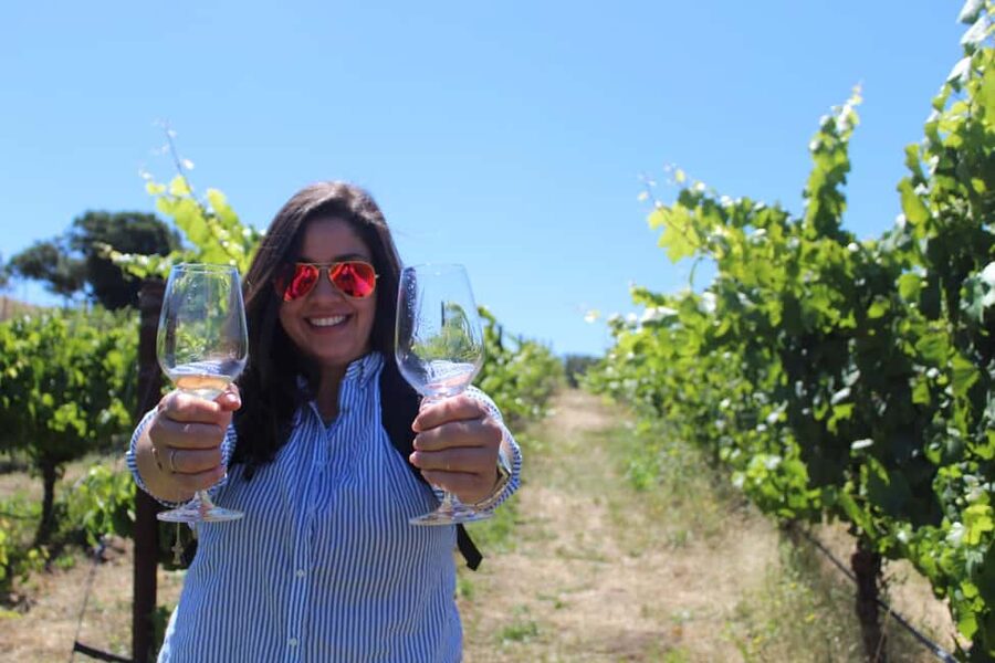 San Francisco: Napa and Sonoma Valley Wine Tour - The morning begins with a Golden Gate view