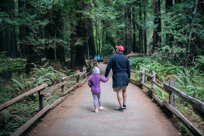 San Francisco Super Saver: Muir Woods & Wine Country w/ optional Gourmet Lunch - Why this combination works so well