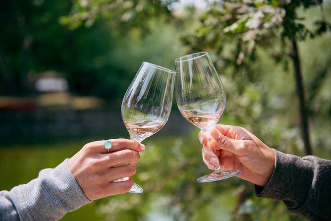 San Francisco Super Saver: Muir Woods & Wine Country w/ optional Gourmet Lunch - Muir Woods: one quiet hour beneath coastal redwoods