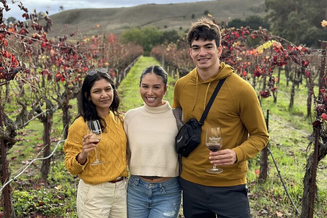 San Francisco Super Saver: Muir Woods & Wine Country w/ optional Gourmet Lunch - Mayo Family Winery: a smaller, friendlier tasting