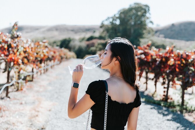 San Francisco Super Saver: Muir Woods & Wine Country w/ optional Gourmet Lunch - The return over the bridge
