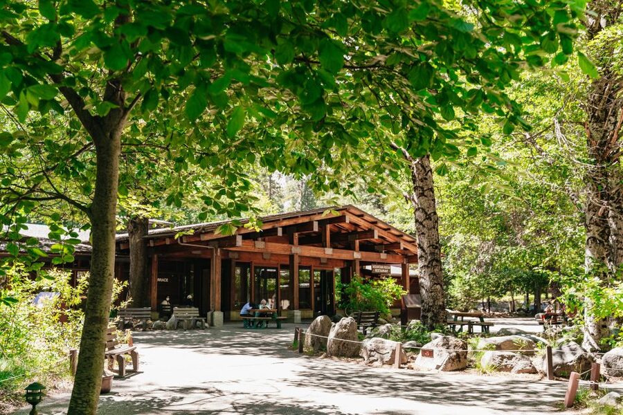 San Francisco: Yosemite National Park & Giant Sequoias Hike - What makes this Yosemite day trip worthwhile