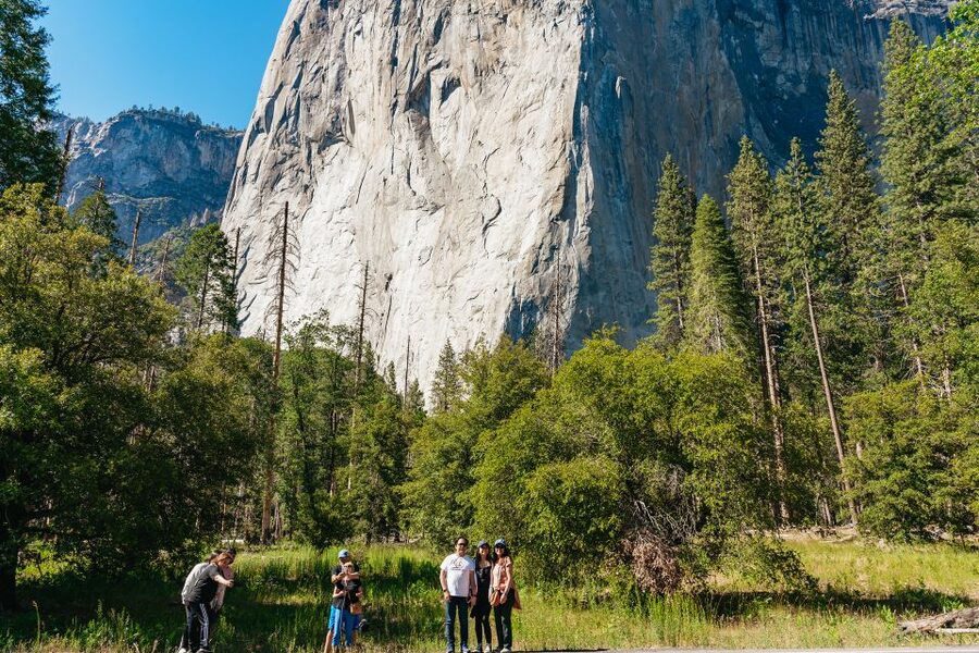 San Francisco: Yosemite National Park & Giant Sequoias Hike - Two hours to choose your own Yosemite Valley