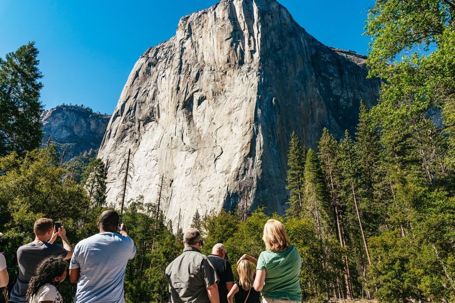 San Francisco: Yosemite National Park & Giant Sequoias Hike - The Tuolumne Grove walk is the day’s most physical stop