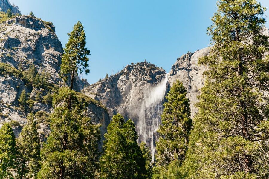 San Francisco: Yosemite National Park & Giant Sequoias Hike - Is $219 a fair price?