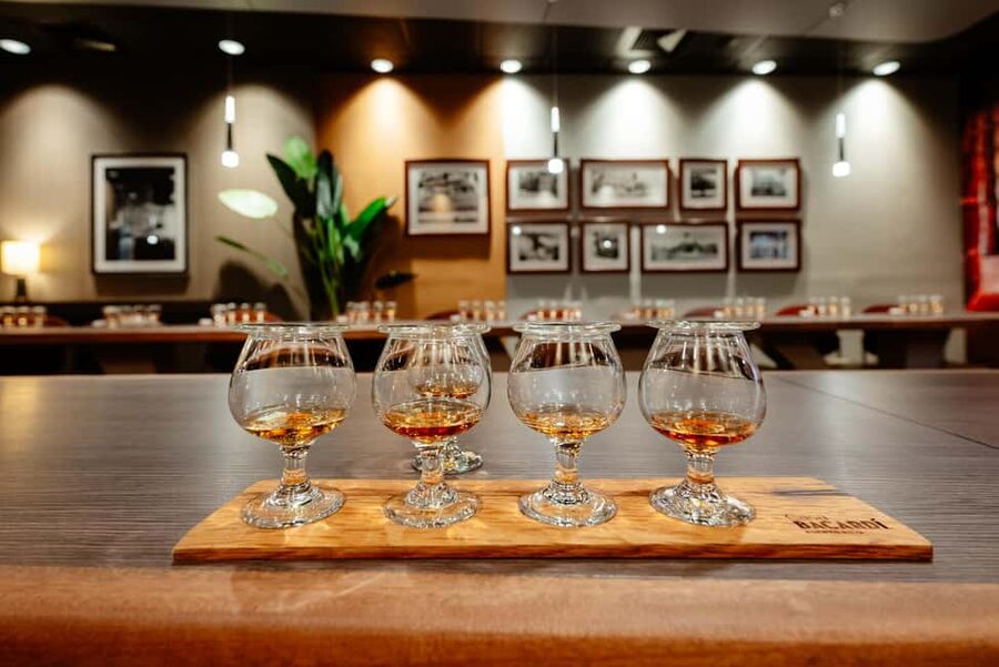 San Juan: Casa Bacardi Distillery Tour - A rum visit with more than a bar stop
