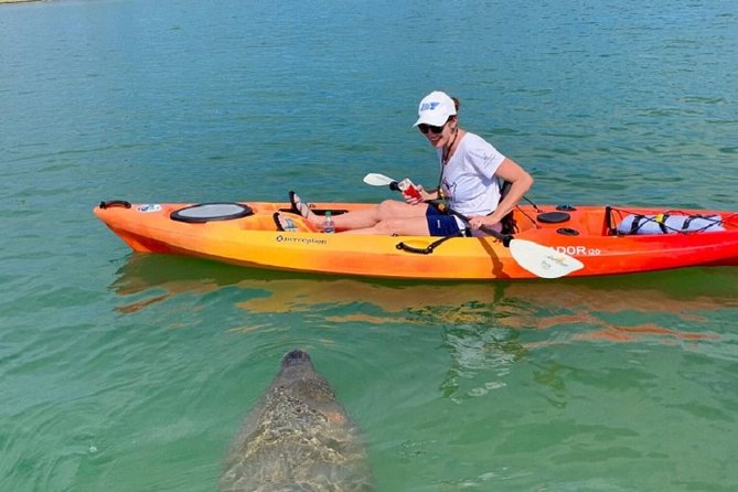 Sarasota Guided Mangrove Tunnel Kayak Tour - Getting comfortable in the kayak