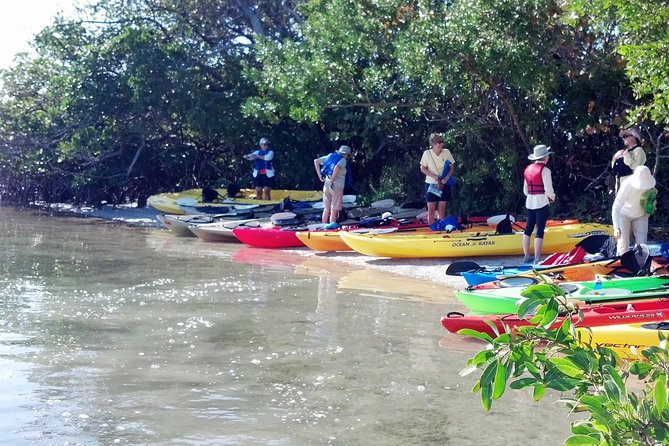 Sarasota Guided Mangrove Tunnel Kayak Tour - The guides make the difference