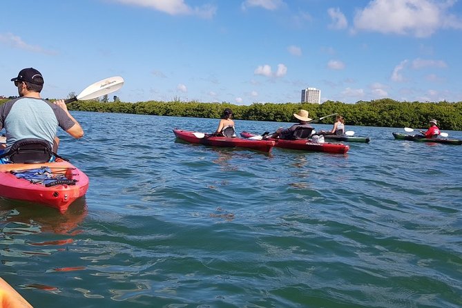 Sarasota Guided Mangrove Tunnel Kayak Tour - Across Little Sarasota Bay
