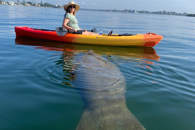 Sarasota Mangrove Tunnel Guided Kayak Adventure - Key points to know before booking