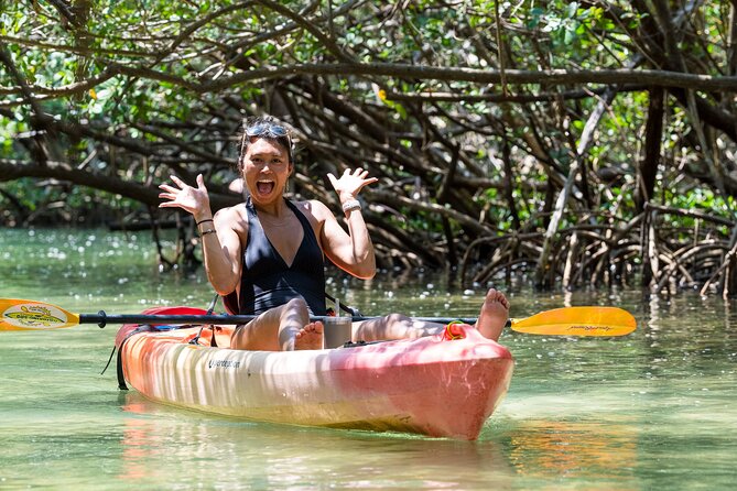 Sarasota Mangrove Tunnel Guided Kayak Adventure - Open water wildlife on Sarasota Bay