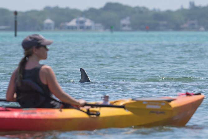 Sarasota Mangrove Tunnel Guided Kayak Adventure - Price, group size, and overall value