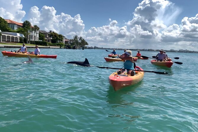Sarasota Mangrove Tunnel Guided Kayak Adventure - Who will enjoy this Sarasota kayak trip