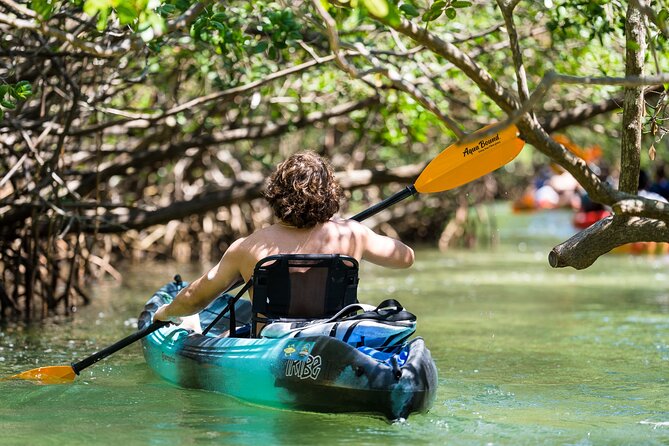 Sarasota Mangrove Tunnel Guided Kayak Adventure - Practical details that matter
