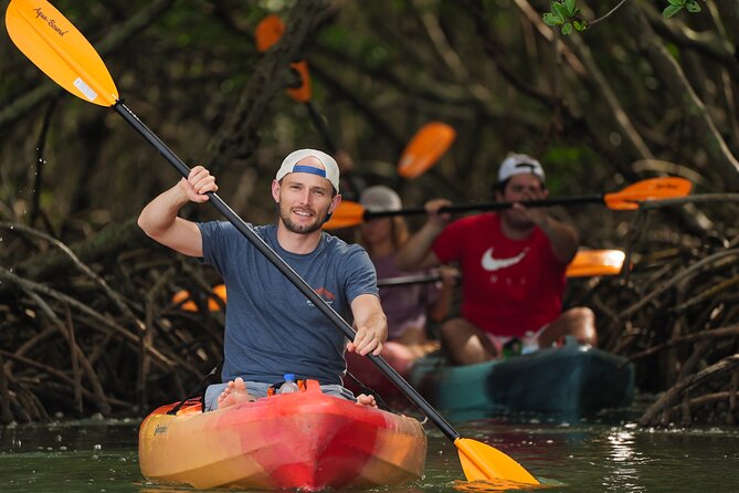 Sarasota Mangrove Tunnel Guided Kayak Adventure - Entering the Lido Key mangrove tunnels