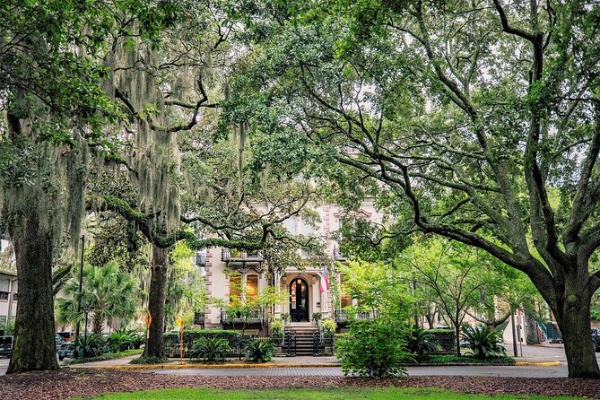 "Savannah for Morons" Comedy Trolley Tour - Key points before you book