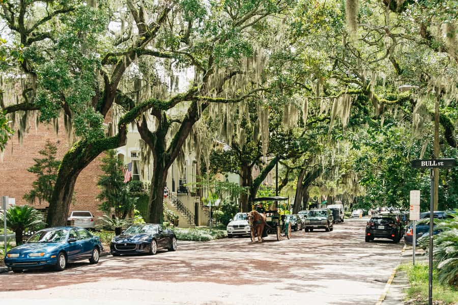 Savannah: Old Savannah Tours Historic Overview - Savannah’s squares, riverfront, and old-world atmosphere