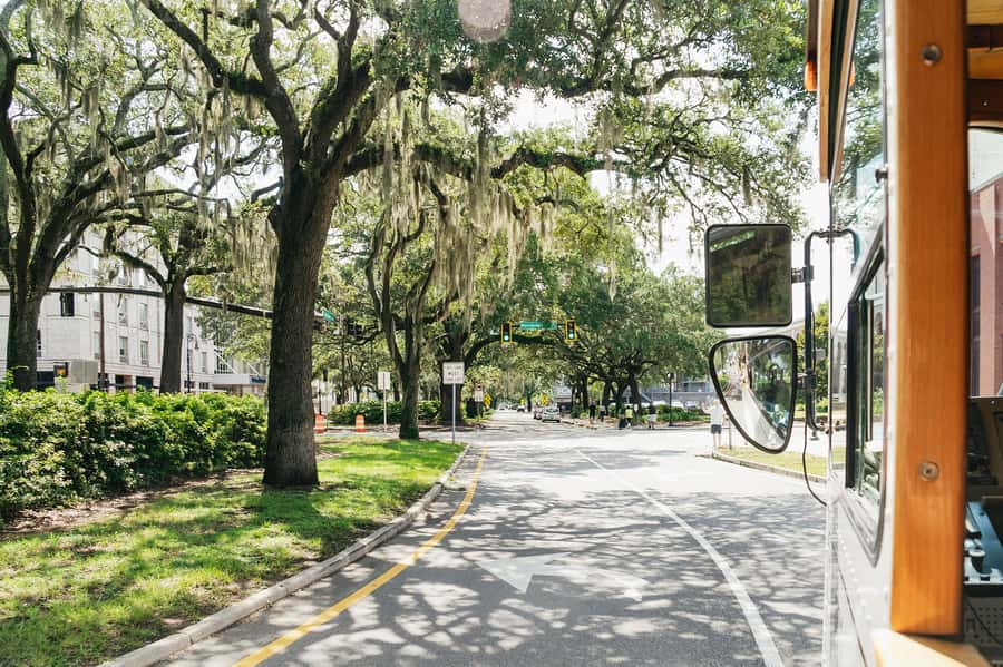 Savannah: Old Savannah Tours Historic Overview - Who should book this 75-minute tour?