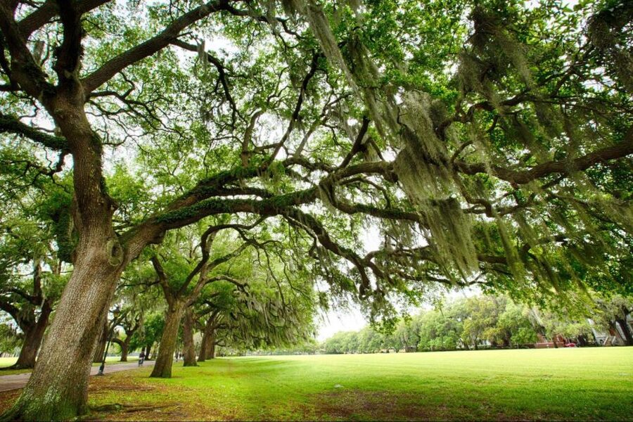 Savannah: Riverboat Cruise & City Tour Combo - Old Fort Jackson from the river