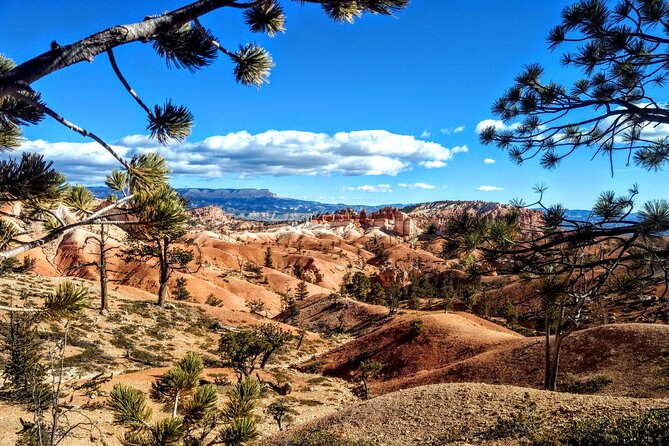 Scenic Tour of Bryce Canyon - Why a guide helps at Bryce Canyon