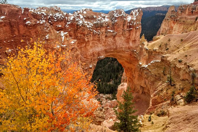 Scenic Tour of Bryce Canyon - What happens during the three-hour visit