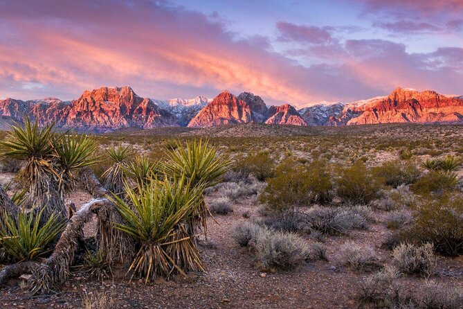 Scooter Tours of Red Rock Canyon - Key points at a glance