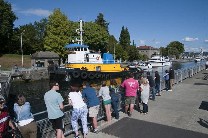 Seattle City and Snoqualmie Falls Half-Day Guided Tour - Why the waterfall makes this more than a city tour