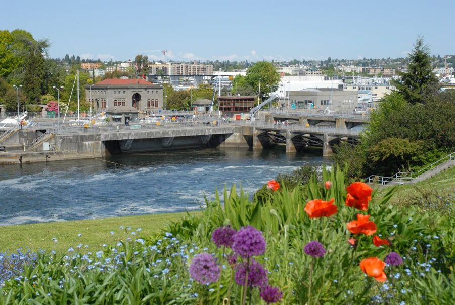 Seattle: City Highlights Tour - What the guides add to the ride