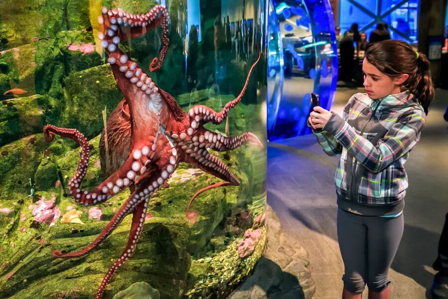 Seattle CityPASS®: Save up to 46% at 5 Top Attractions - Pacific Science Center: a family-friendly pick