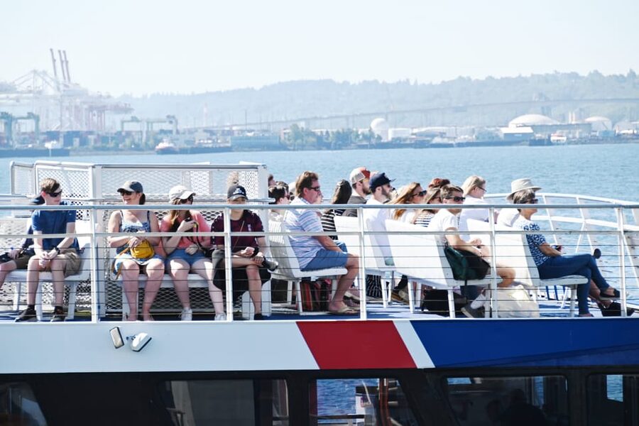 Seattle: Half-Day Wildlife and Whale Watching Cruise - Seating, photographs, and seeing the animals