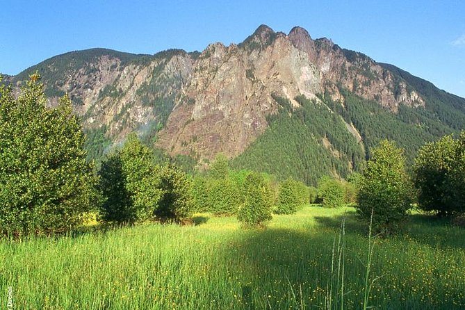 Seattle Wine & Snoqualmie Falls Highlights Tour - Snoqualmie Falls after rain