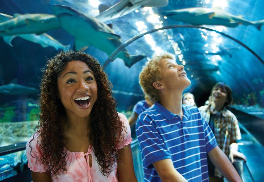 SeaWorld Orlando: Park Admission Ticket - Animal habitats and presentations