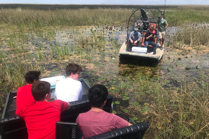Semi-Private 1-Hour Airboat Tour of Miami Everglades - Wildlife sightings depend on the day