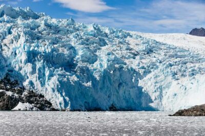 Seward: Kenai Fjords National Park Catamaran Cruise w/Lunch