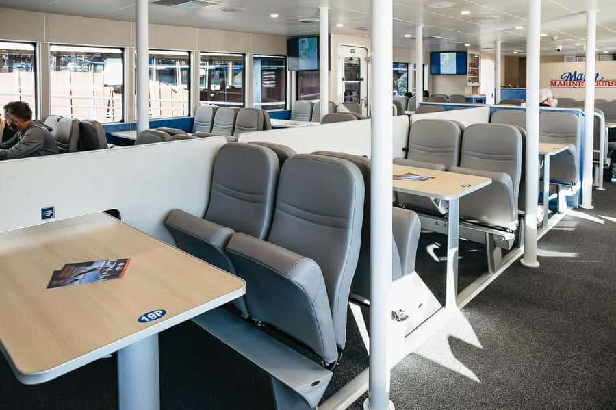 Seward: Kenai Fjords National Park Catamaran Cruise w/Lunch - Who will enjoy this cruise most?