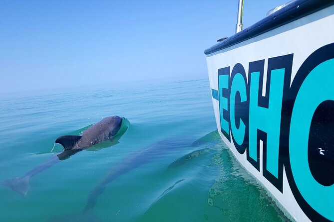 Shallow Water Snorkeling and Dolphin Watching in Key West - Leaving Key West Bight on the Catamaran Echo