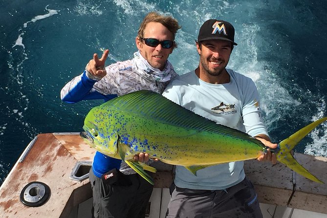 Shared Sportfishing Trip from Fort Lauderdale - What a four-hour trip really gives you