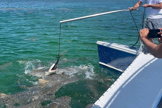 Shark and Wildlife Viewing Adventure in Key West - Drinks, shade, and the practical comforts