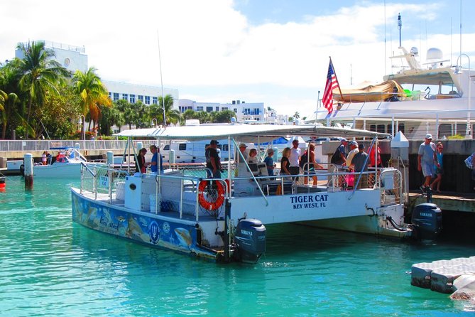 Shark and Wildlife Viewing Adventure in Key West - How good is the $99 value?