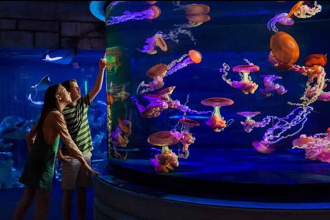 Shark Reef at Mandalay Bay Hotel and Casino - The touch pool with rays and horseshoe crabs