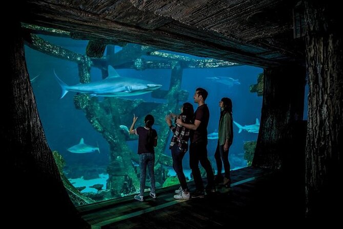 Shark Reef at Mandalay Bay Hotel and Casino - How long should you plan to stay?