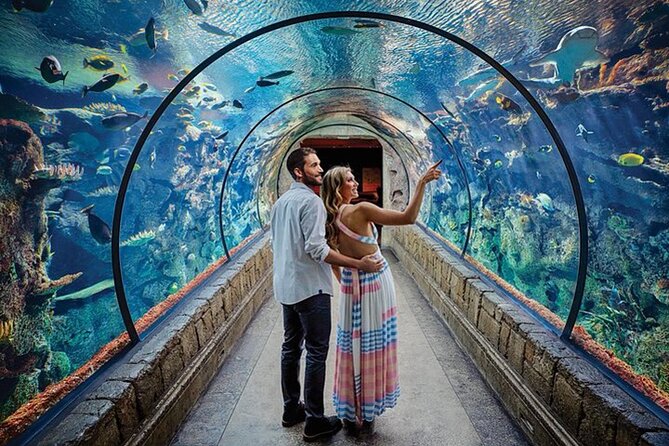Shark Reef at Mandalay Bay Hotel and Casino - The 14 exhibits and the first half of the visit