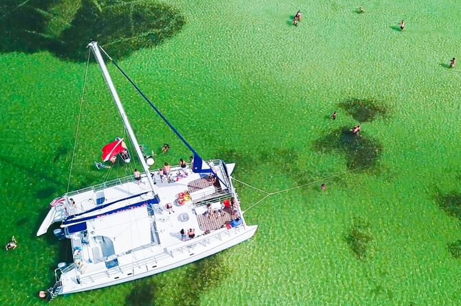 Shell Island Snorkel and Dolphin Catamaran Cruise with Island Time - Boarding at 5201 N Lagoon Drive