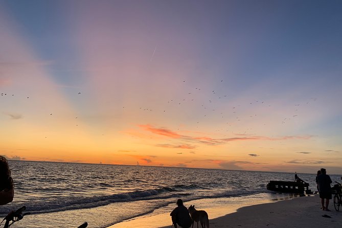 Siesta Key Electric Bike Sunset Tour - Who will get the most from this ride